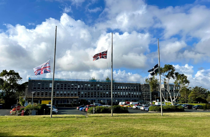 Flags at half mast